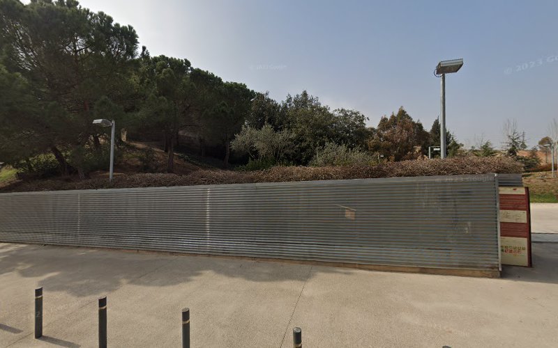 ARBORÈTUM DEL CASTELL