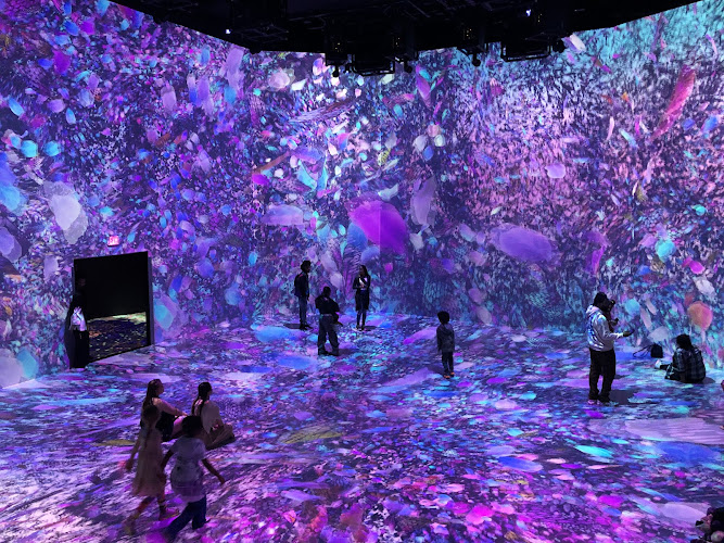 ARTECHOUSE DC
