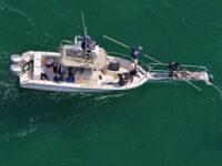 AWSC Shark Center Chatham Travel Forum Reviews