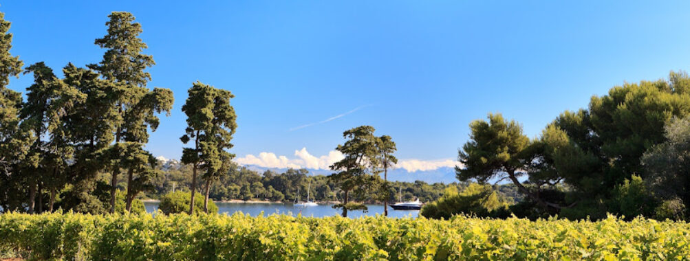 Abbaye de Lérins Travel Forum Reviews