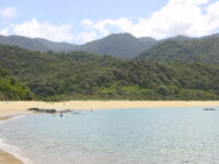 16,500ft tandem skydive over Abel Tasman Review