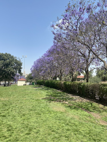 Abha Flower Park