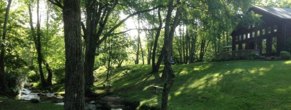 Abingdon Vineyards Travel Forum Reviews
