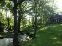 Abingdon Vineyards Travel Forum Reviews