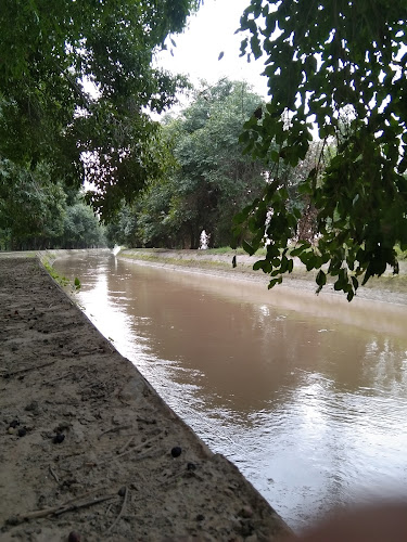 Abohar Canal Front Nature Park