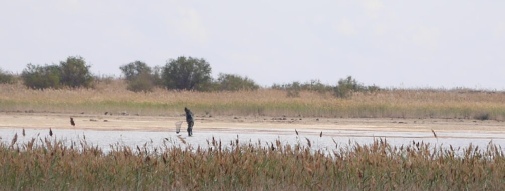 Absheron National Park Travel Forum Reviews