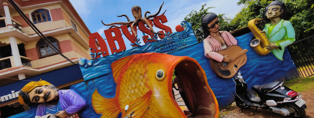 Abyss Travel Forum Reviews