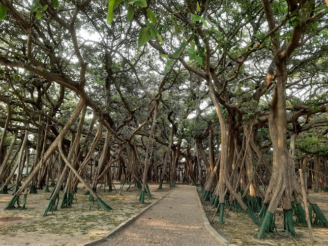 Acharya Jagadish Chandra Bose Indian Botanic Garden
