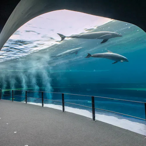 Acquario di Genova