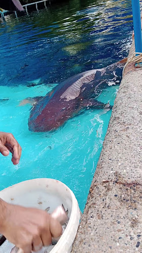 Acuario Mundo Marino