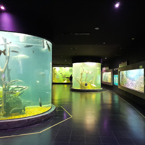 Acuario del Río Paraná