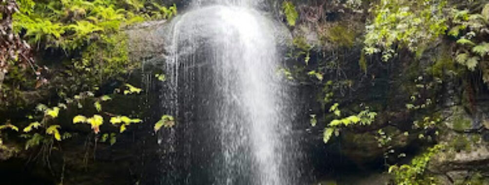 Adelina Falls Travel Forum Reviews