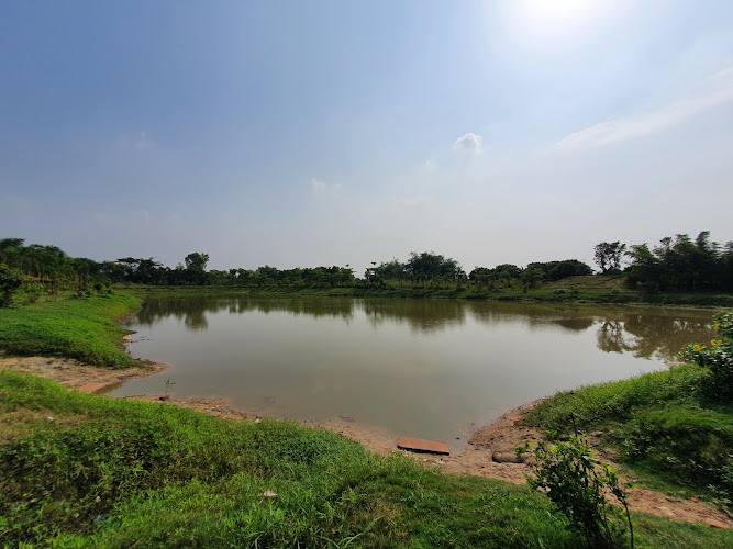 Adina Eco Park