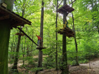 Adventure Park Brasov Travel Forum Reviews