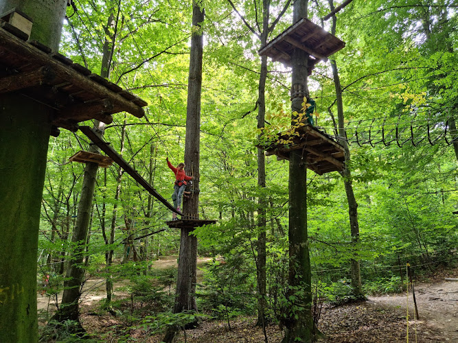 Adventure Park Brasov