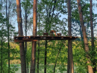Adventure Park Tarzanija Travel Forum Reviews