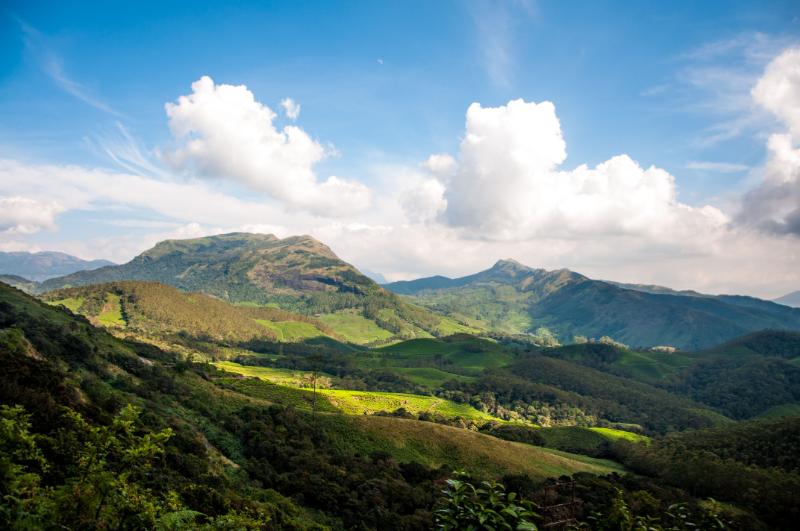 Aerial view of Eravikulam National Park