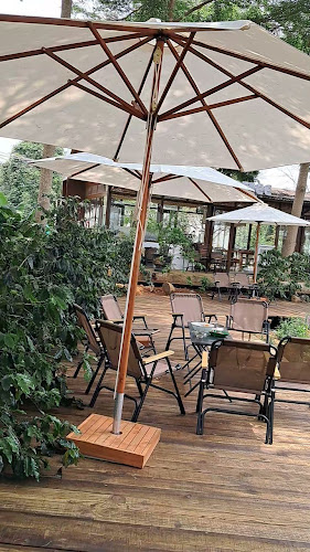 Aeroco Specialty Coffee Farm