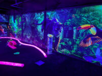 Aerosports Trampoline Park Travel Forum Reviews