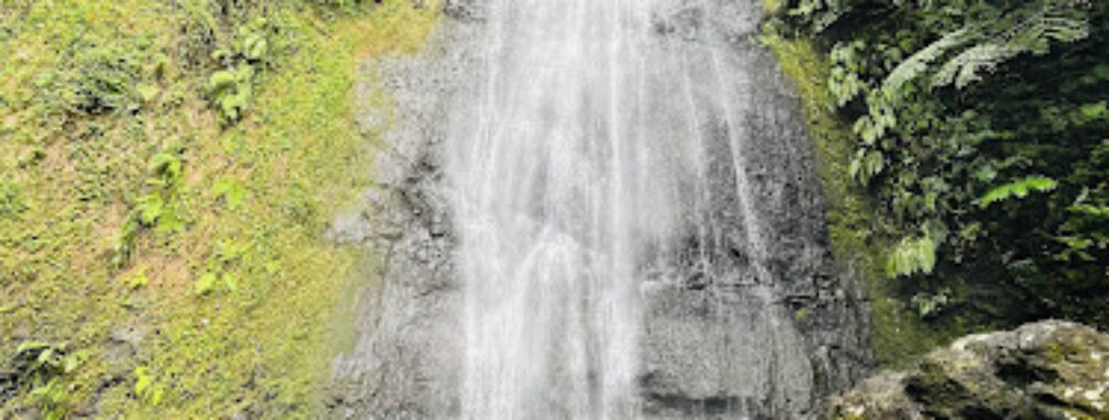 'Āfareaitu Waterfall Travel Forum Reviews
