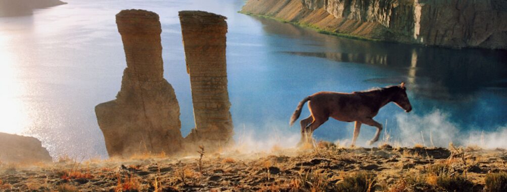 Afghanistan Travel Forum Reviews