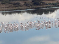 Agadir journey Travel Forum Reviews