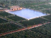 Agdal Gardens Travel Forum Reviews
