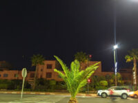 Agdal Gardens Travel Forum Reviews
