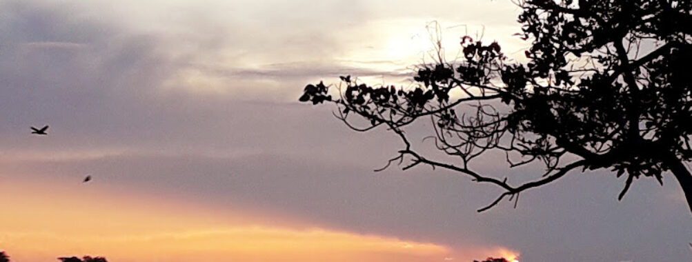 Agroturismo Las Macanas Travel Forum Reviews