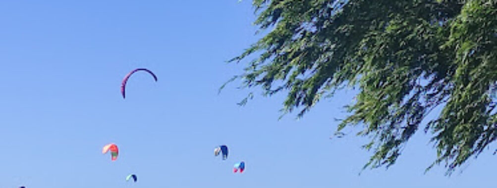 Águila Grande Fuera del Tiempo Park Travel Forum Reviews