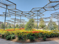 Ahmad Donish Park Travel Forum Reviews