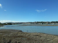 Ahuriri Estuary Travel Forum Reviews