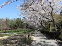 Aichi Greenery Center Travel Forum Reviews