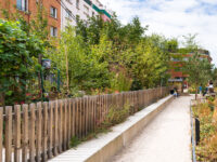 Aimé Césaire Garden Travel Forum Reviews