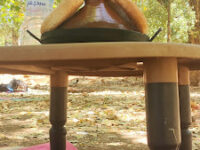 Ain Sultan Forest Travel Forum Reviews