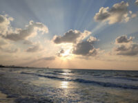 Ajman Beach Travel Forum Reviews