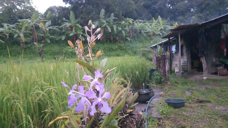 Akhwe camp