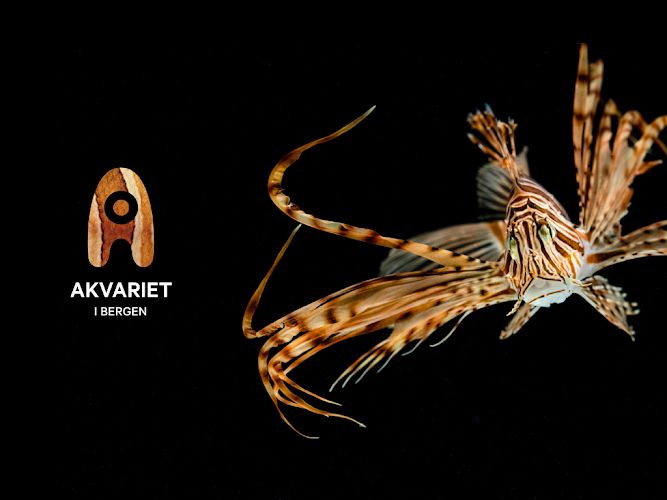 Akvariet i Bergen – The National Aquarium