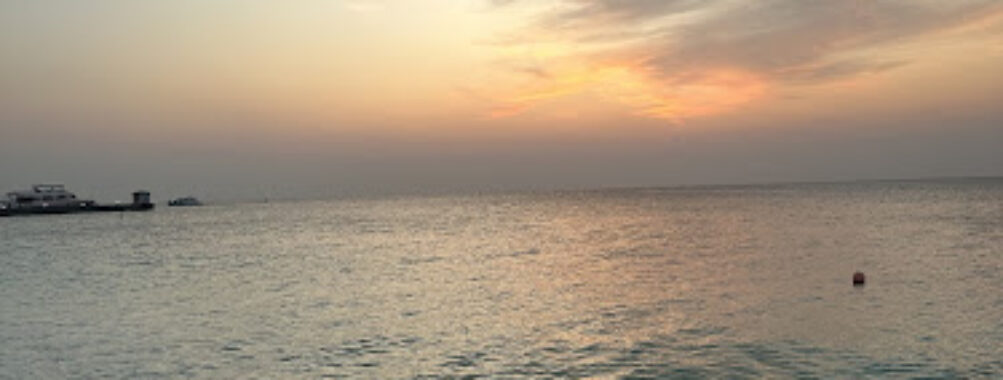 Al Aqah Beach Travel Forum Reviews