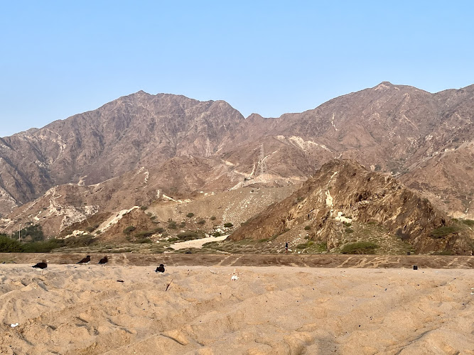 Al Aqah Beach