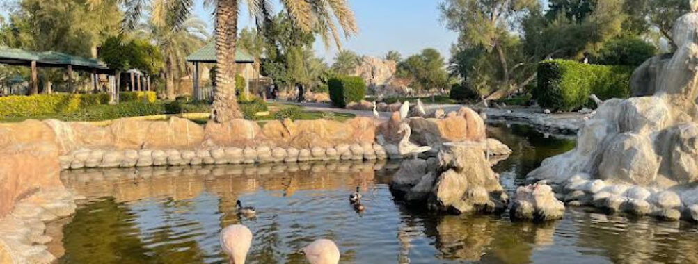 Al Areen Wildlife Park Travel Forum Reviews