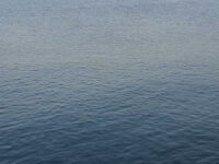Al Khour 1 Travel Forum Reviews