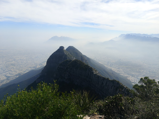 Al pico perico