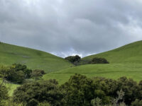 Alameda Creek Regional Trail - Isherwood Staging Area Travel Forum Reviews