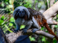 Alameda Wildlife Park Travel Forum Reviews