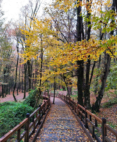 Alangdareh Forest Park