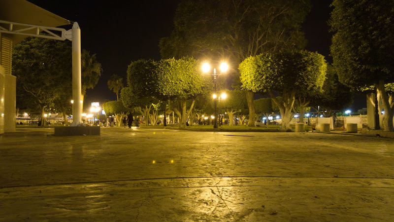 Alanoud Park
