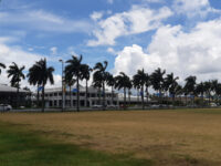 Albert Park Travel Forum Reviews
