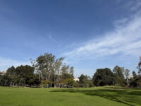 Aldrich Park Travel Forum Reviews