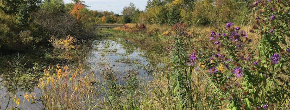 Alewife Brook Reservation Travel Forum Reviews